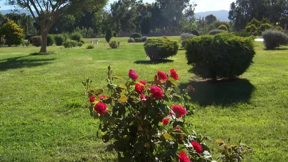 Parque San José: nuevas medidas por coronavirus y dengue