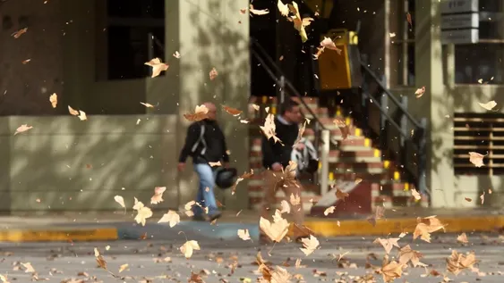 Ante las condiciones del tiempo, desde Educación afirman que las clases son normales