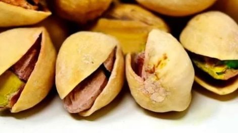 San Juan es potencia para el “oro verde”, según la mirada de uno de los principales productores de pistacho