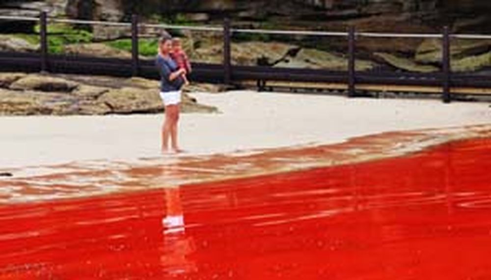 Playas se tiñen de rojo