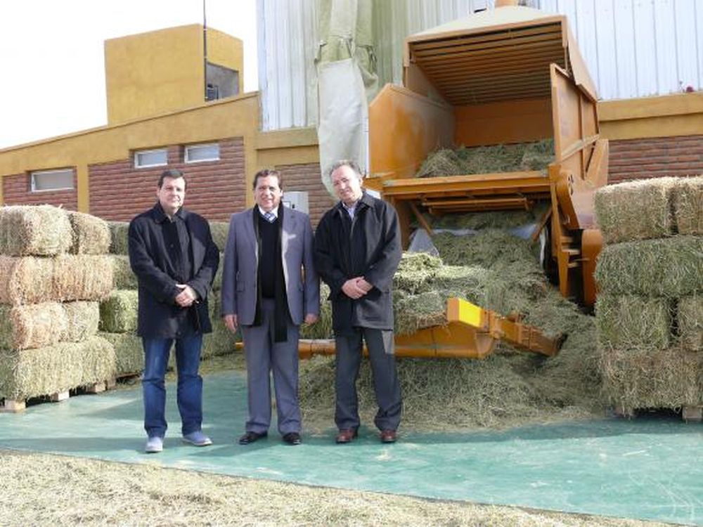Crece el interés por el pellet y fardos de alfalfa de San Juan