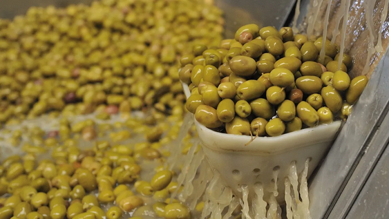 aceituna de mesa en san juan, frente al desafio de ir a la busqueda de nuevos mercados