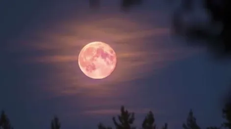 Qué es la superluna rosa de abril y cuándo se podrá ver en Argentina