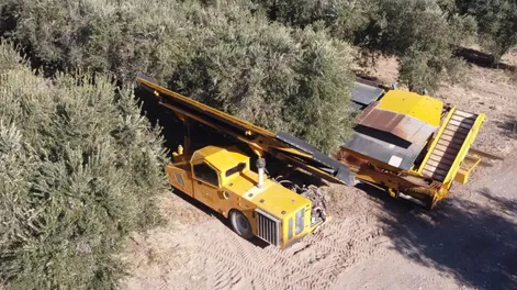 Diario de Cuyo | f1p6verde_crop1650040205026 728x546.webp