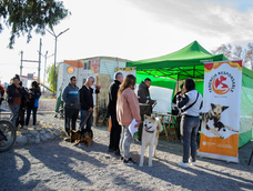 Tenencia responsable: veterinaria gratuita de mascotas en Caucete