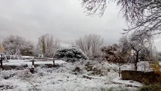 Nieve en Iglesia y hielo en El Colorado, los efectos del frente subpolar en San Juan