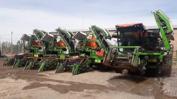 La cosecha del tomate está complicada por demora en el ingreso de máquinas