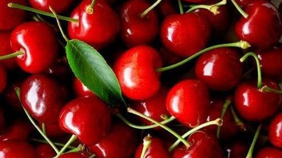 Las exportaciones de cereza aumentan un 20 por ciento