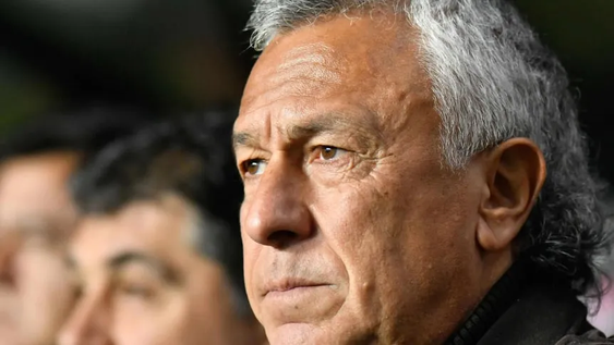 Pipo Gorosito.