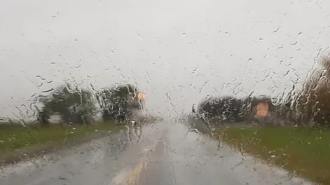 Extienden hasta mañana el alerta por fuertes tormentas en buena parte de la provincia