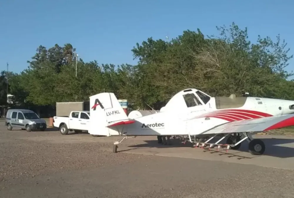Preocupa el avance de la polilla y piden a viñateros que la combatan