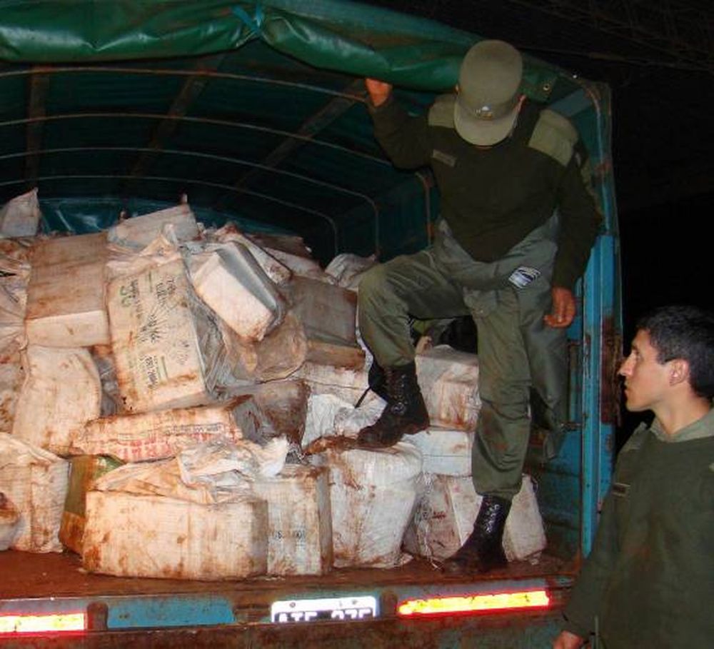 Misiones: Secuestran 4 toneladas de marihuana