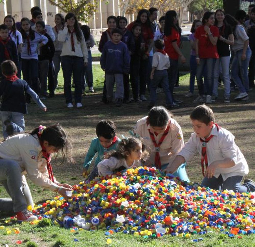 Una flor solidaria