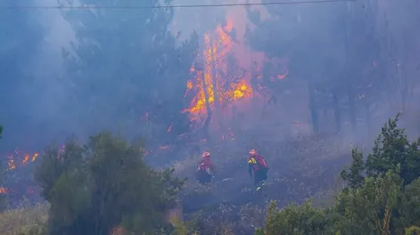 Mapuches se adjudican haber iniciado el incendio en El Hoyo
