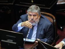 El jefe del bloque kirchnerista en el Senado, José Mayans.&nbsp;