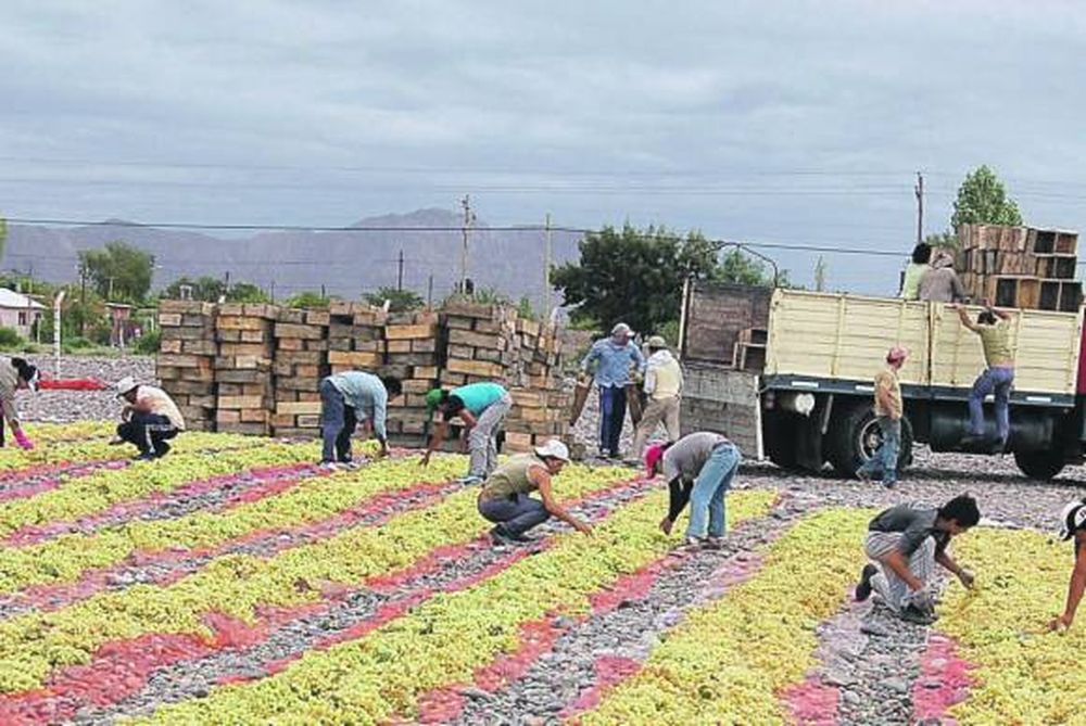 “Tenemos que pagar al productor  de pasas de uva al valor del dolar”