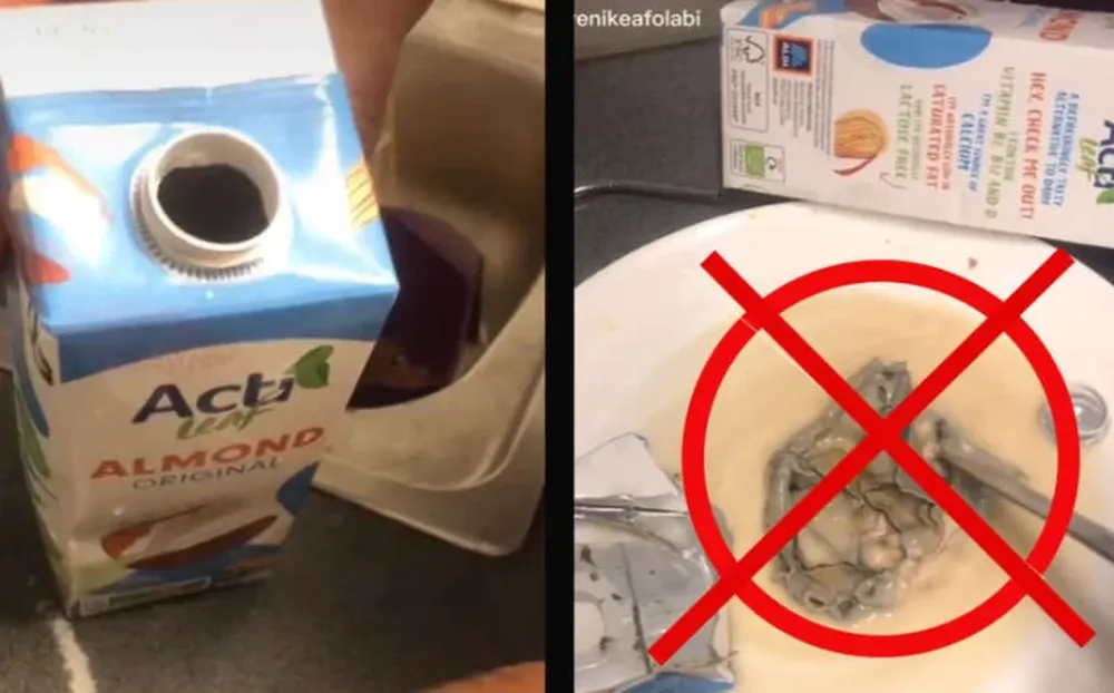 Una mujer halló un extraño animal adentro de una caja de leche