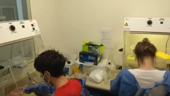 Detectaron el primer caso de la cepa británica de coronavirus en la Argentina