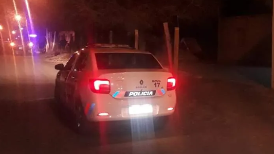 Albardón: vecinos dicen que vieron un puma con cachorros y la policía sale a buscarlos