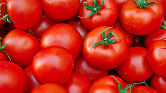 no cometas este error al guardar los tomates para que no se arruinen en pocos dias