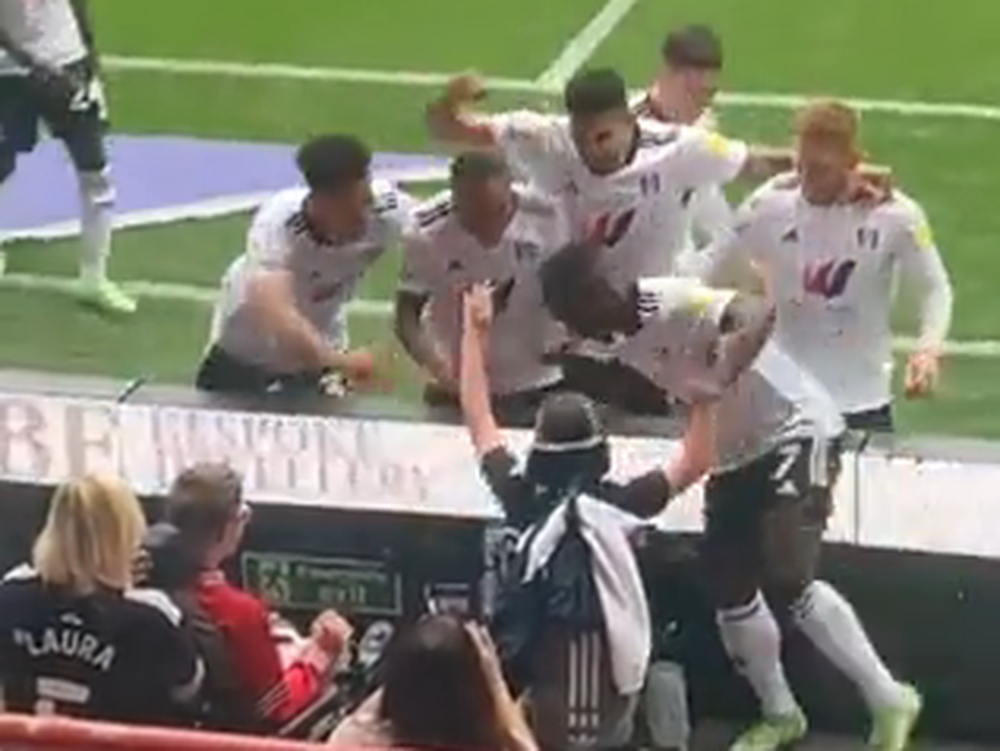 [VIDEO] Jugadores del Fulham festejaron un gol con un niño que sufrió bullying