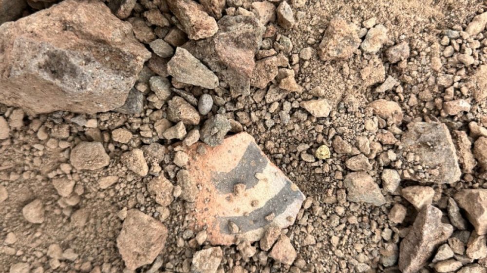 Los restos de las piezas de cerámica encontradas por Gendarmería.