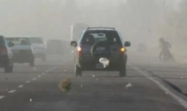 Prevén viento Zonda en San Juan: ¿para cuándo?