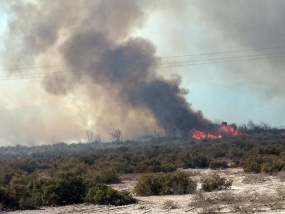 Detuvieron a un joven de 19 años por provocar un incendio de pastizales
