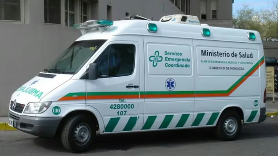Bebé de un año murió ahogado en una pileta. (Imagen: gentileza Diario San Rafael).
