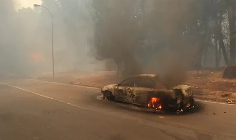 Chile: ya son 14 los muertos por los graves incendios forestales