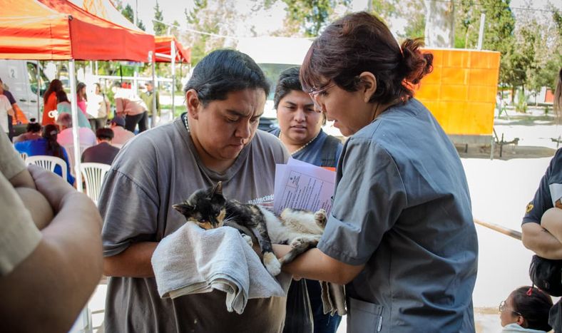 Ambiente organizó diferentes actividades para celebrar el Día del Animal.