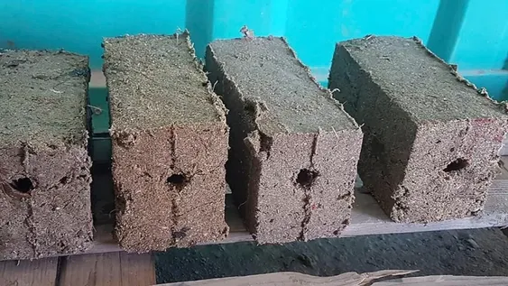 Ganan un premio por producir leña en zonas sin gas, reciclando cartón