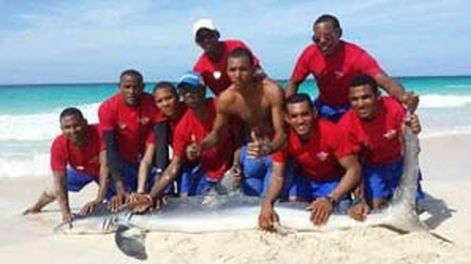 Como en la Costa: mataron un tiburón para tomarse una foto