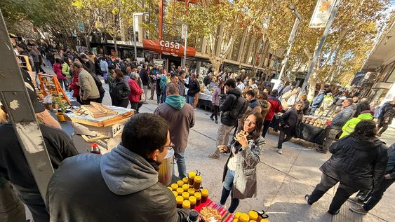Este miércoles se realizó una feria por el Dia Mundia de la Abeja donde la miel fue la protegonista.