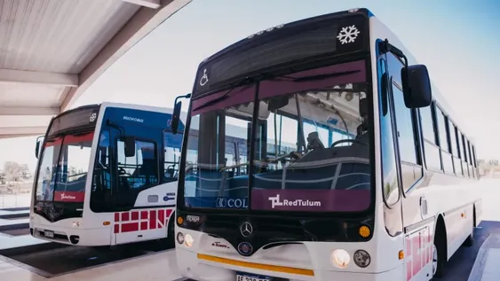 Red Tulum: según un sondeo, 8 de cada 10 usuarios aún no sabe el recorrido y la línea que usará