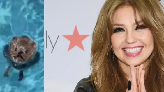 Thalía salvó a una rata de morir ahogada en su pileta y no tardó en hacerse viral