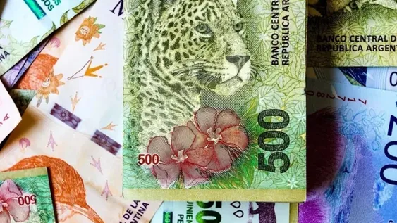 El Gobierno anunciará el reemplazo de los animales de los billetes por próceres