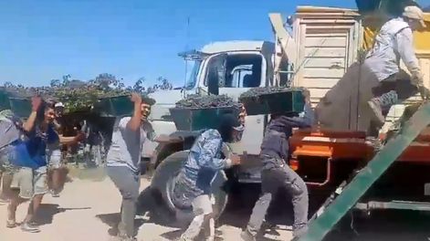 Tras el éxito de la Cuadrilla del Manteca, ahora otra cuadrilla de Rawson se hizo viral bailando entre viñedos