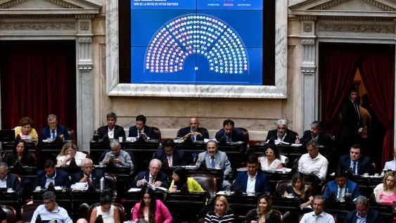 Diputados aprobó los artículos sobre emergencia pública y delegación de facultades