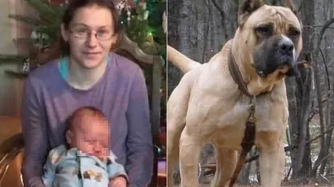 Una mujer salvó a su hijo del ataque de un pitbull y murió por las heridas