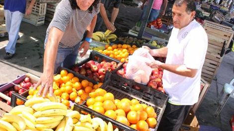Feria Municipal: Canastas  de frutas desde 30 pesos