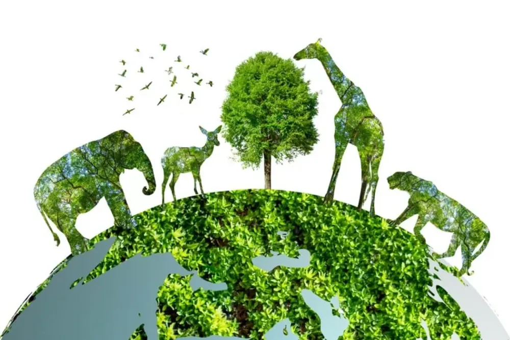 La conservación como única opción