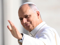 Papa León XIV. Papa León XIV.
