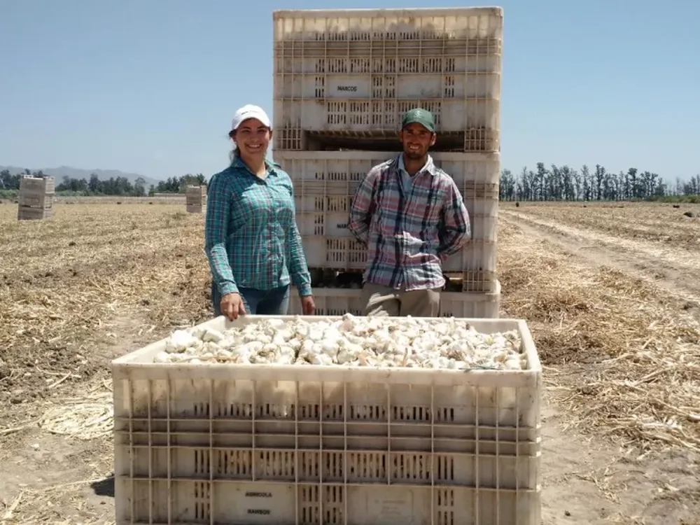 Propuesta para poder controlar situaciones de estrés en cultivos