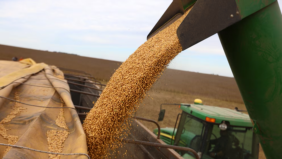 Las exportaciones de Manufacturas de Origen Agropecuario alcanzaron los USD 2.659 millones, lo que implicó la mayor contribución para el saldo comercial positivo.