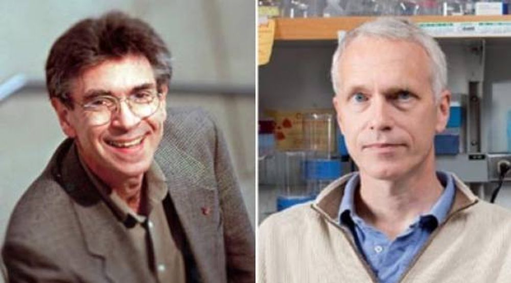 Dos estadounidenses, premiados con el Nobel de Química