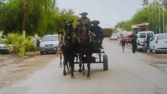 Le pidieron una “gauchada” a un camionero y ahora lo buscan para recuperar un generador