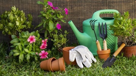 febrero, en el espacio verde