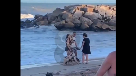 Sacó a pasear a su chancho con correa por la playa y se volvió viral