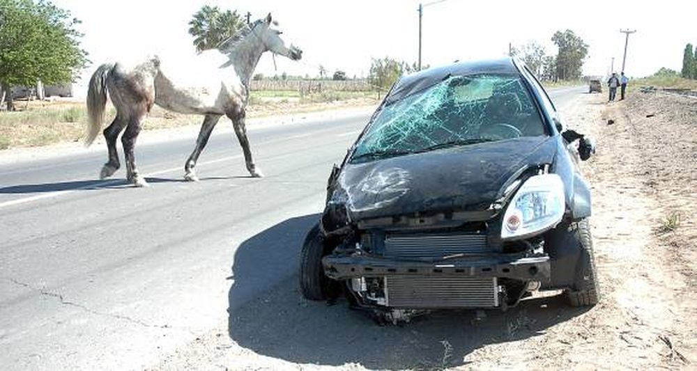 En el Valle alambran dos de los tramos más peligrosos
